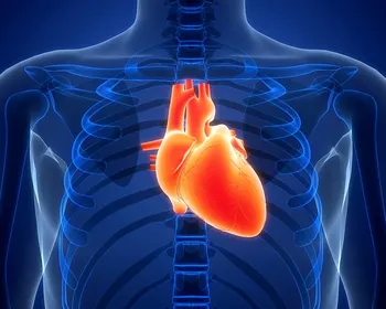 Cardiologista explica como as gorduras boas e ruins afetam o coração