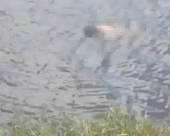 Corpo de homem é encontrado boiando no Lago Perucaba, em Arapiraca
