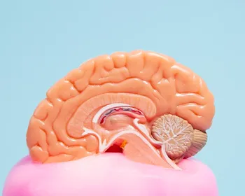 Estimulação cognitiva pode retardar perda de funções no Alzheimer
