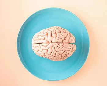 Estudo questiona ideia de que cérebro decide antes de agir