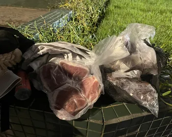 Funcionário de hotel em Cruz das Almas é preso em flagrante furtando peças de carne
