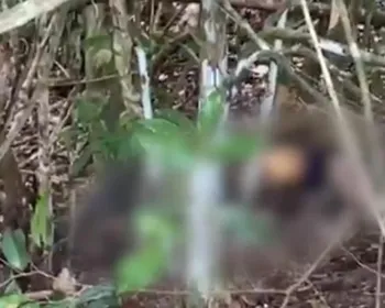 Marca no pescoço levanta suspeita de enforcamento em corpo achado no B. Bentes