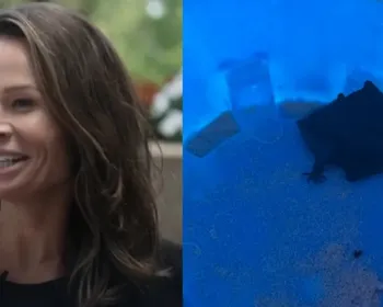 Médica acorda com morcego na boca e alerta sobre os riscos da raiva
