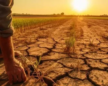 Nova lei do seguro rural amplia proteção para produtores no campo