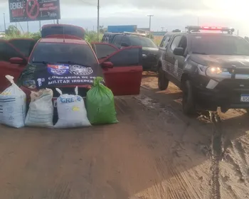 PM apreende cerca de 240 kg de maconha a caminho de Marechal Deodoro e prende dois