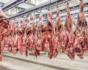 União Europeia suspende importação de carnes, ovos e mel do Brasil