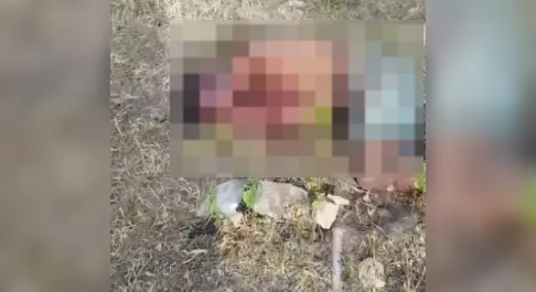 Homem é encontrado com sinais de agressão em terreno baldio em São José da Tapera