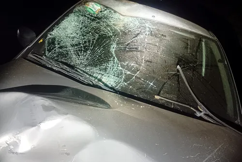 
				Colisão frontal mata motociclista e deixa mulher gravemente ferida em Anadia
			
			