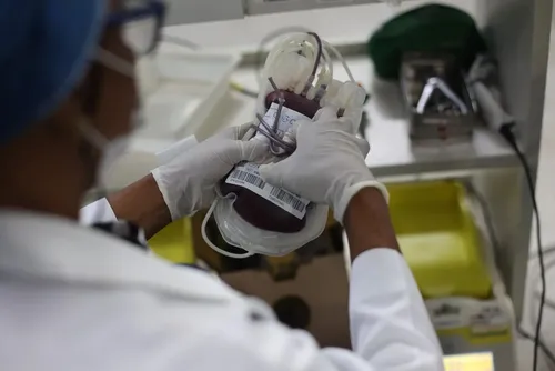 
				Doação de sangue passa a ter novas regras a partir de hoje; veja o que muda
			
			
