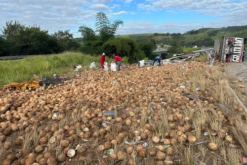 
				Motorista morre após caminhão carregado de coco tombar na BR-101, no Pilar
			
			
