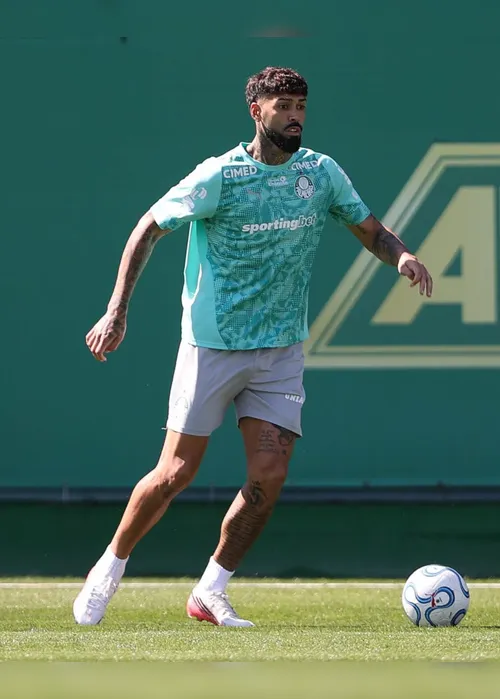 
				Escalação: Barboza vê 'terreno hostil' e confia em classificação do Palmeiras
			
			