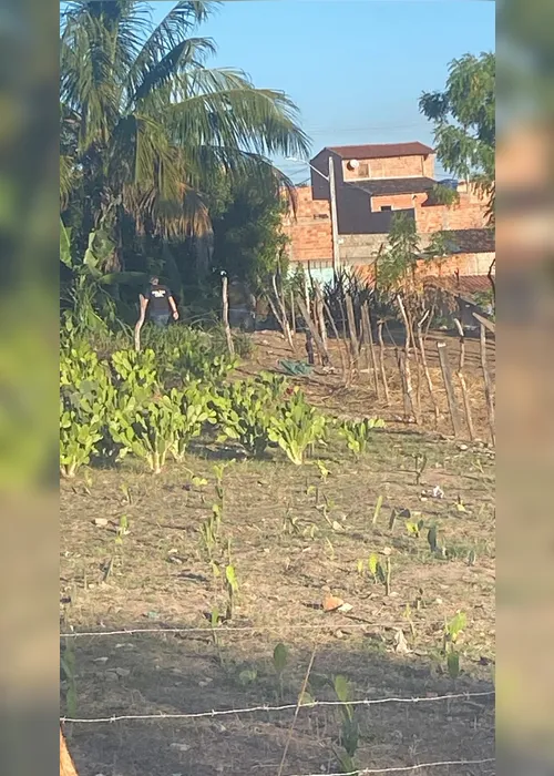 
				Operação contra o tráfico termina com dois presos e apreensão de maconha, crack e cocaína
			
			