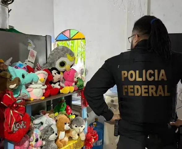 Alerta da Interpol da Itália leva PF a cumprir buscas contra investigado por abuso infantil