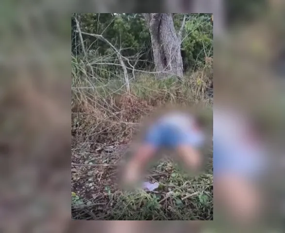 Ex-presidiário que transportava galinhas é encontrado morto na AL-101 Sul; PC confirma assassinato