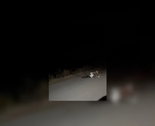 Mulher morre após acidente com animal na AL-145, em Água Branca