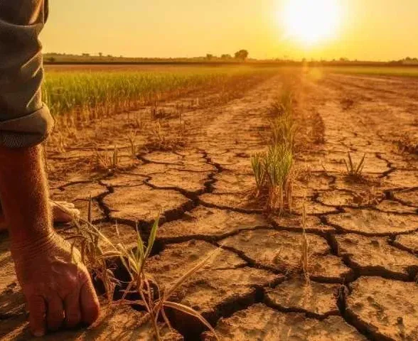 Nova lei do seguro rural amplia proteção para produtores no campo