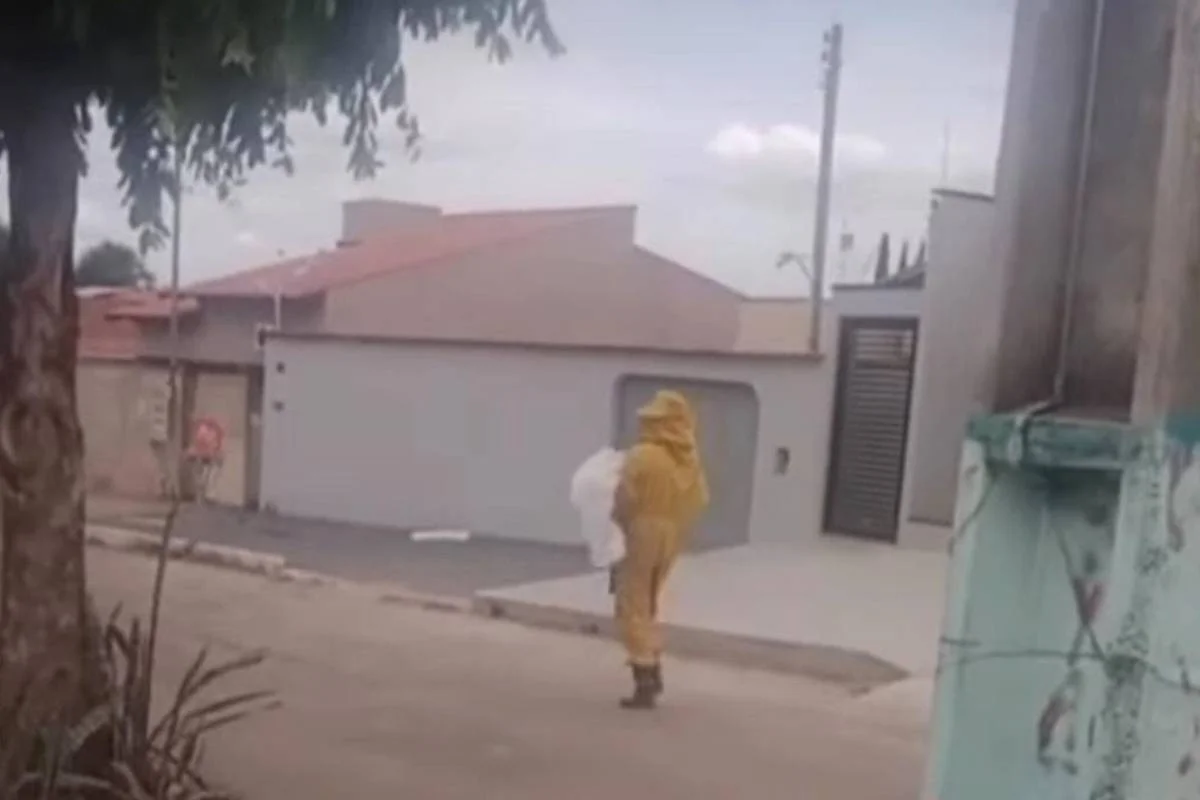 Ataque de abelhas isola fiéis em igreja e mata cachorro