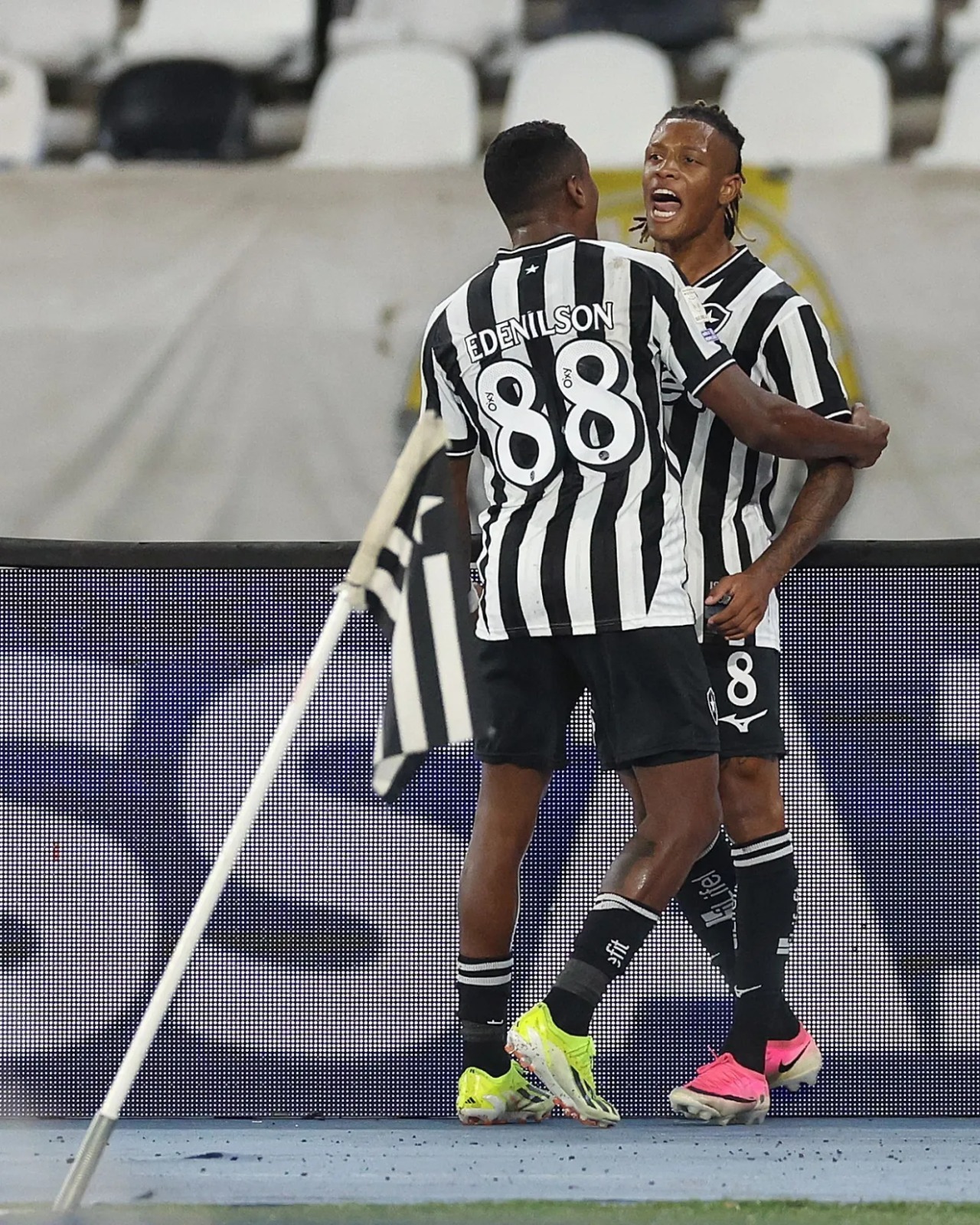 Botafogo vence o Grêmio no Brasileirão e se afasta da zona de rebaixamento