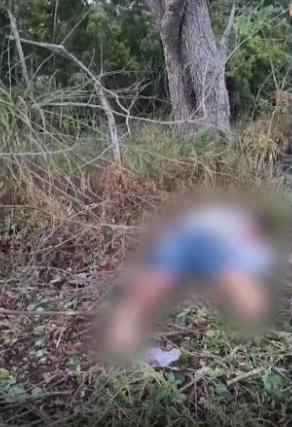 Ex-presidiário que transportava galinhas é encontrado morto na AL-101 Sul; PC confirma assassinato