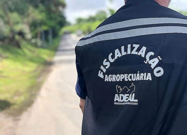 Governo de AL lança edital de concurso para fiscal agropecuário com salário de R$ 7,3 mil