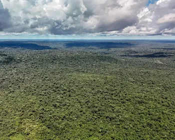 Amazônia registra menor nível de desmatamento em 41 anos