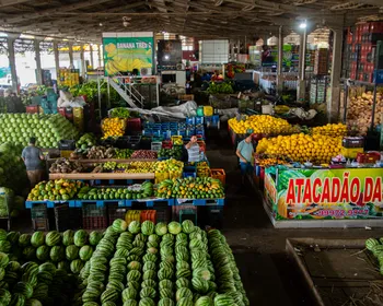 Ceasa passará por concessão; veja impactos para comerciantes e produtores