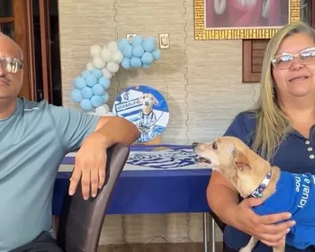 Conheça Elyse, cachorrinha de 18 anos que teve seu aniversário com tema do CSA