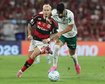 Flamengo e Palmeiras somam 99,8% de chances de título