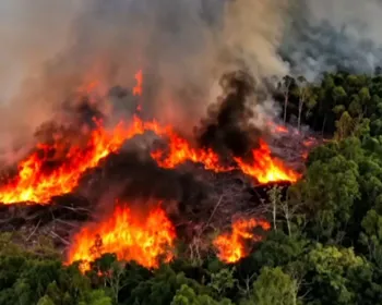 Governo anuncia envio de novos aviões para combater incêndios no Amazonas