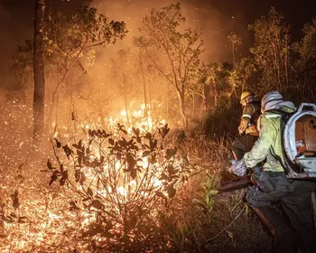 Ibama extingue 229 incêndios no Amazonas e segue no combate ao fogo
