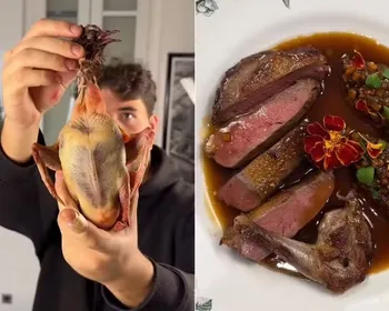 Prato com carne de pombo em Paris chama atenção; entenda como é preparado