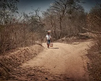 Seca avança e atinge 100% do território de Alagoas em setembro