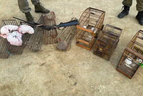 
				BPA apreende armas, resgata aves silvestres e flagra caça ilegal em Alagoas
			
			