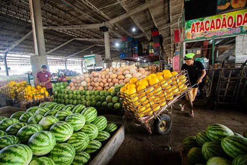 
				Ceasa passará por concessão; veja impactos para comerciantes e produtores
			
			