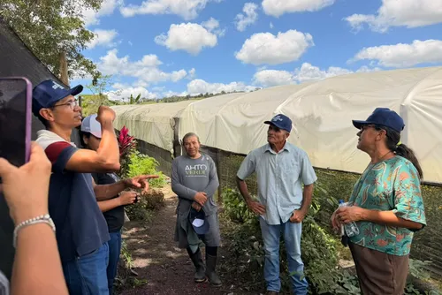
				A cadeia produtiva conta com consultoria em design floral, padronização dos produtos e parceria para distribuição. A estrutura facilita o escoamento das flores para floriculturas, feiras e eventos em Alagoas e em estados vizinhos.
			
			