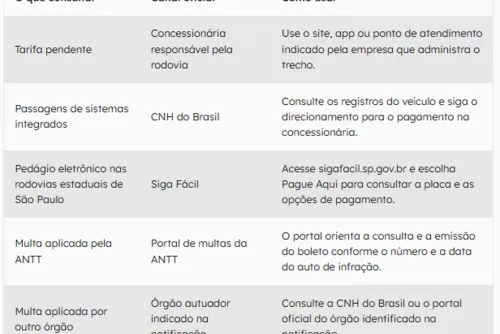 
				Golpe do “free flow” usa sites falsos e medo de multa para roubar motoristas
			
			