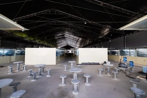 
				Prefeito Rodrigo Cunha anuncia novo anexo para permissionários do Mercado da Produção
			
			