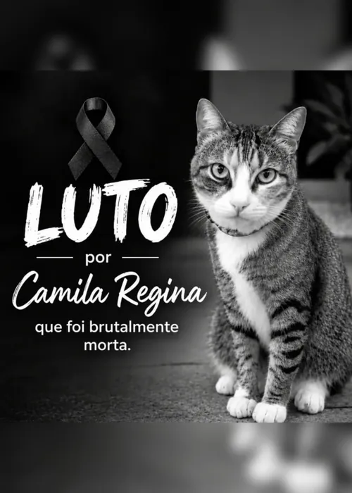 
				Academia se pronuncia sobre morte de gata espancada por ex-funcionários na Ponta Verde
			
			