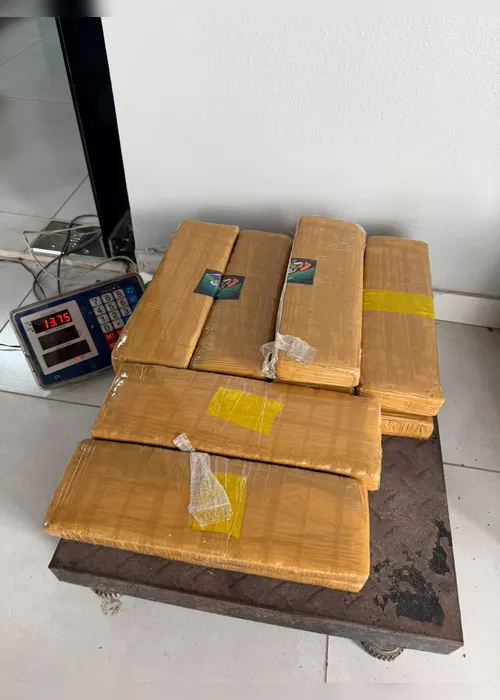 
				Fiscalização apreende 75 kg de drogas e mil cigarros eletrônicos em Arapiraca
			
			