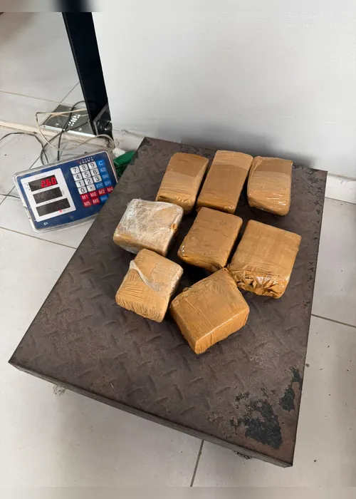 
				Fiscalização apreende 75 kg de drogas e mil cigarros eletrônicos em Arapiraca
			
			