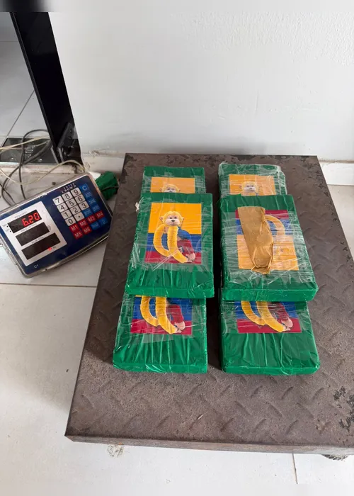 
				Fiscalização apreende 75 kg de drogas e mil cigarros eletrônicos em Arapiraca
			
			
