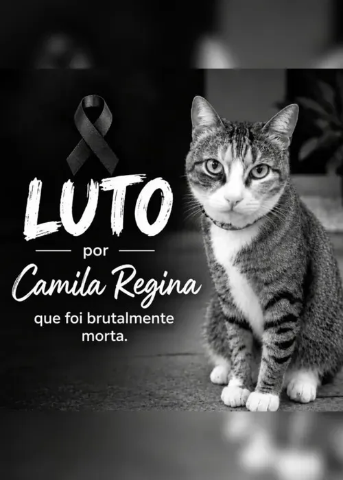 
				Suspeita de ordenar morte da gata Camila Regina deve se entregar à polícia
			
			