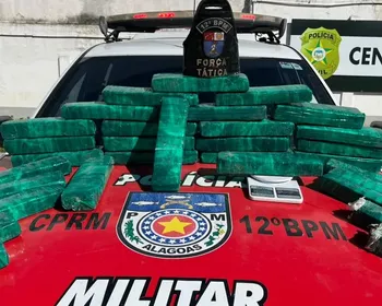PM apreende em Maceió 35 kg de maconha que teriam chegado de PE 