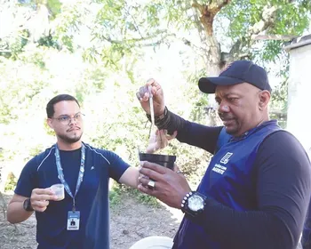 Alagoas amplia combate à dengue com IA e mosquitos modificados