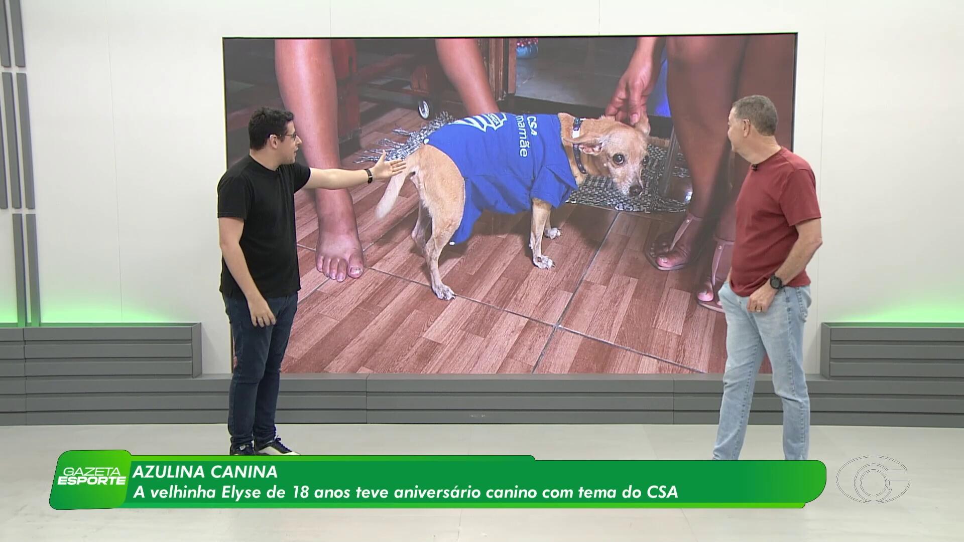 Conheça Elyse, cachorrinha de 18 anos que teve seu aniversário com tema do CSA