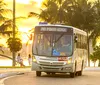 Verão Massayó: maceioenses terão gratuidade em 31 linhas de ônibus imagem