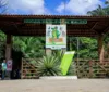 Trilhas do Parque Municipal de Maceió serão reabertas nesta quarta imagem