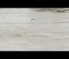 Corpo de homem é encontrado boiando em rio no município de Rio Largo imagem