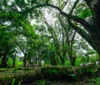 Por conta das chuvas, Parque do Horto ficará fechado neste final de semana imagem