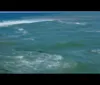 Vídeo mostra o momento em que fragmentos de óleo chegam ao litoral de Alagoas imagem